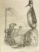 1867 Grandville Engraving, Isle of Penguins
